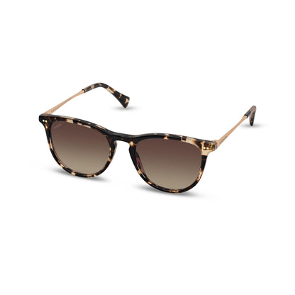 Rome Transparent Hazel Brown