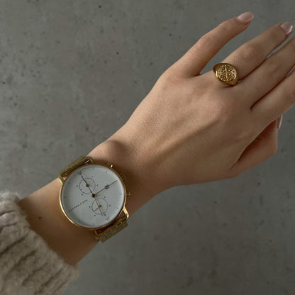 Chrono Gold Steel