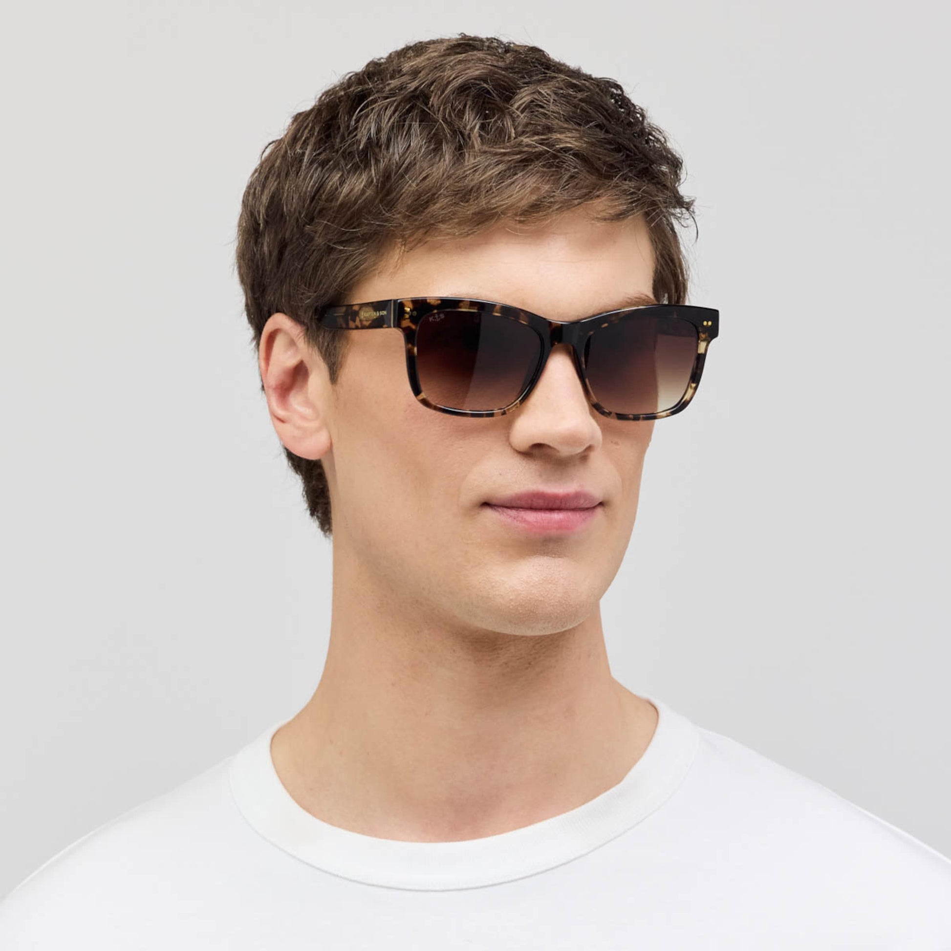 Venice Gradient Brown